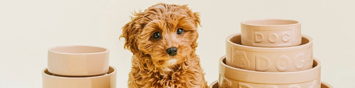 Pro domácí zvířata Mason Cash