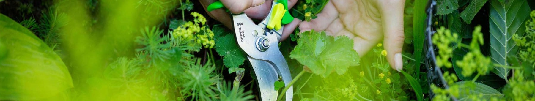 Zahradní nůžky