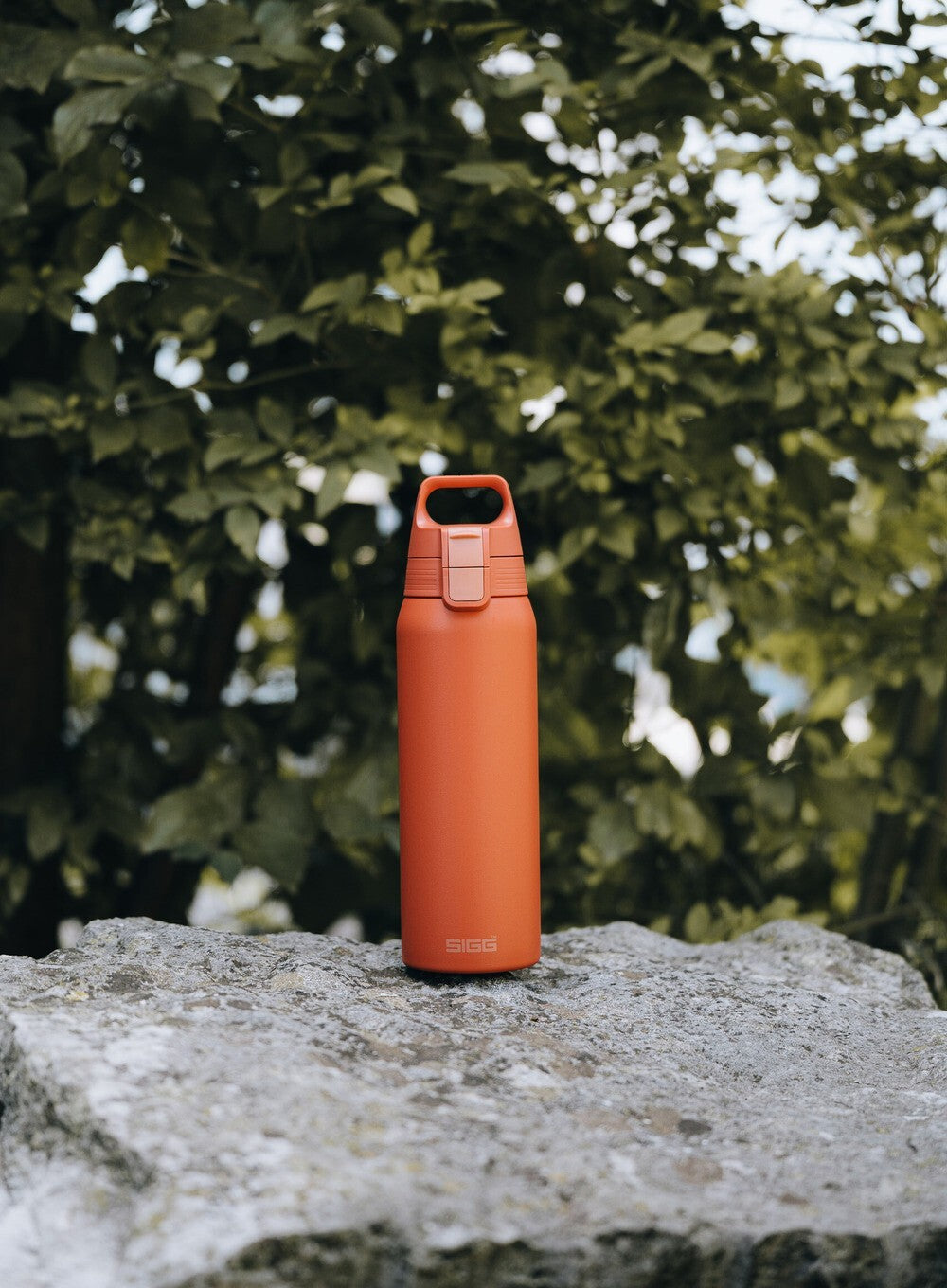 Sigg Shield Therm One stainless steel drinking bottle 1 l, eco red, 6021.80