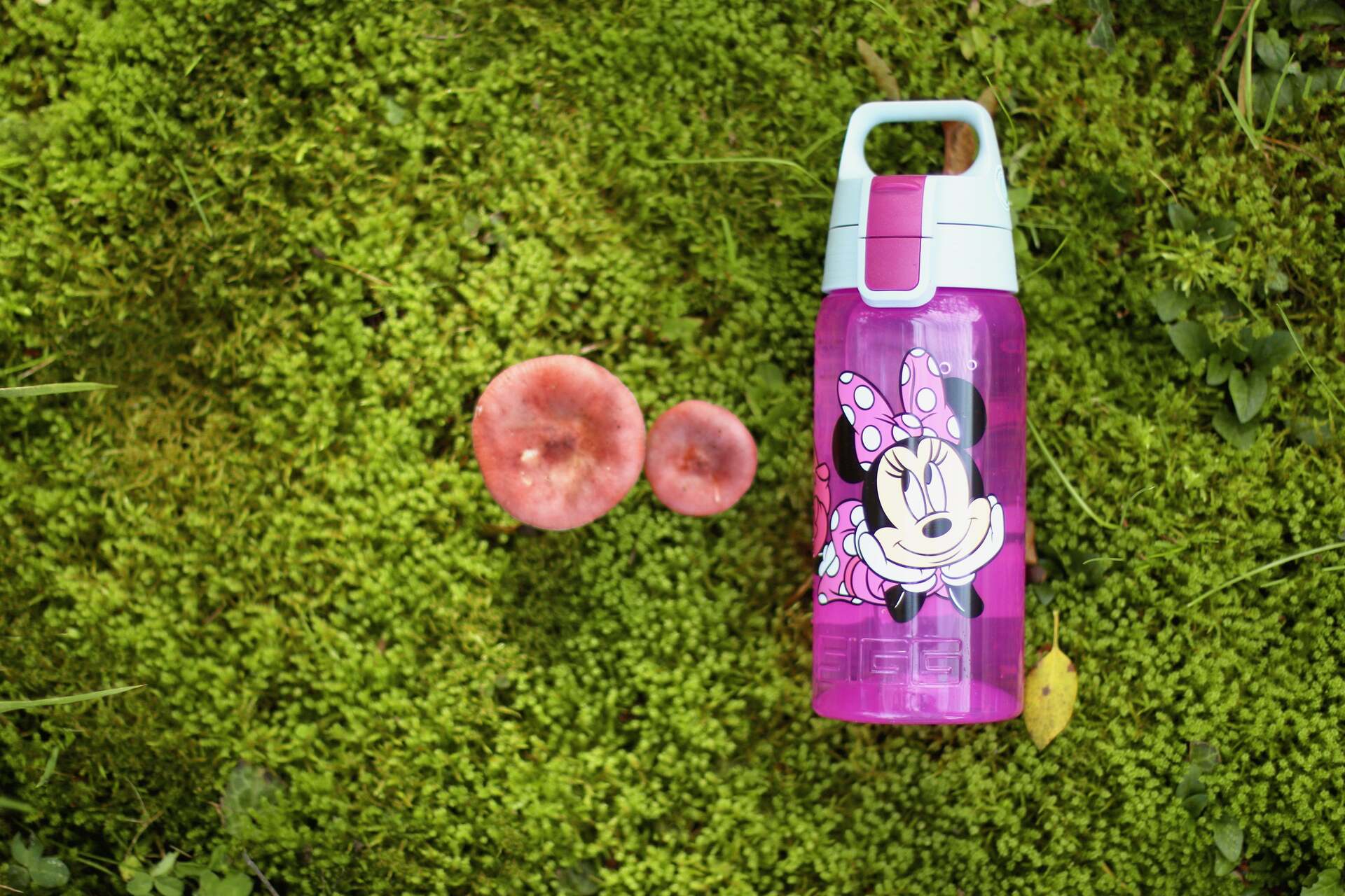 Sigg Viva One detská fľaša na pitie 500 ml, junior minnie, 6059.70