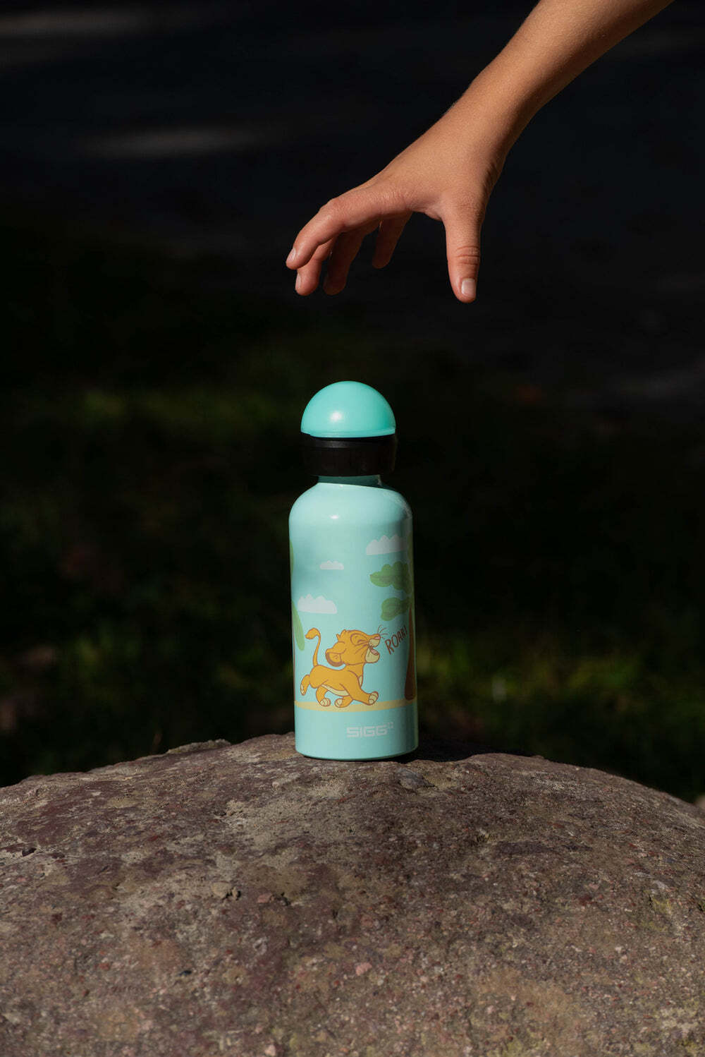 Sigg KBT dojčenská fľaša 400 ml, simba roar, 6059.00