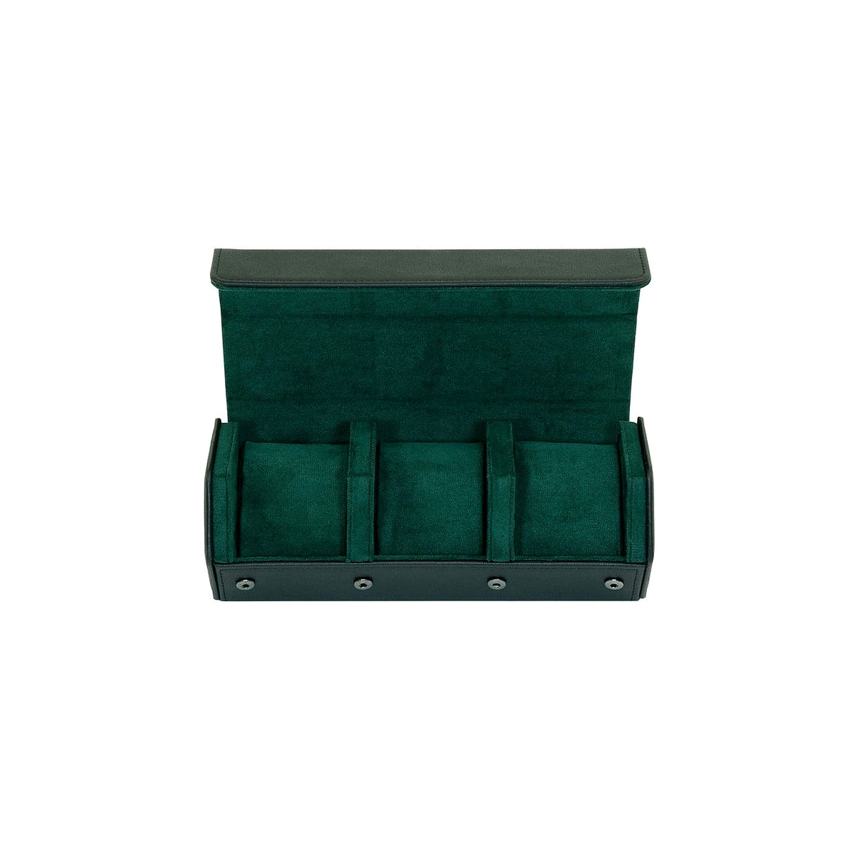 Rothenschild watch box RS-3176-3-BL-GN