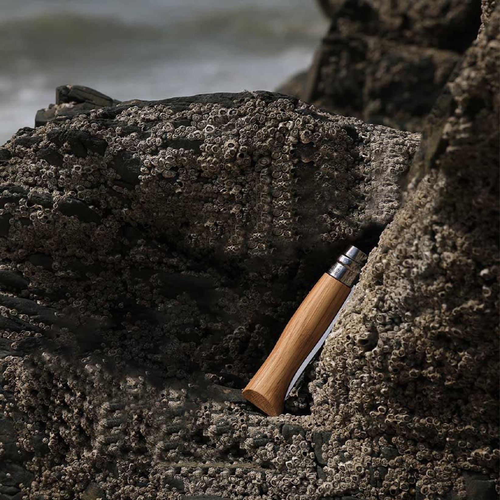 Opinel Oak Wood N°06 zavírací nůž 7 cm, 002024