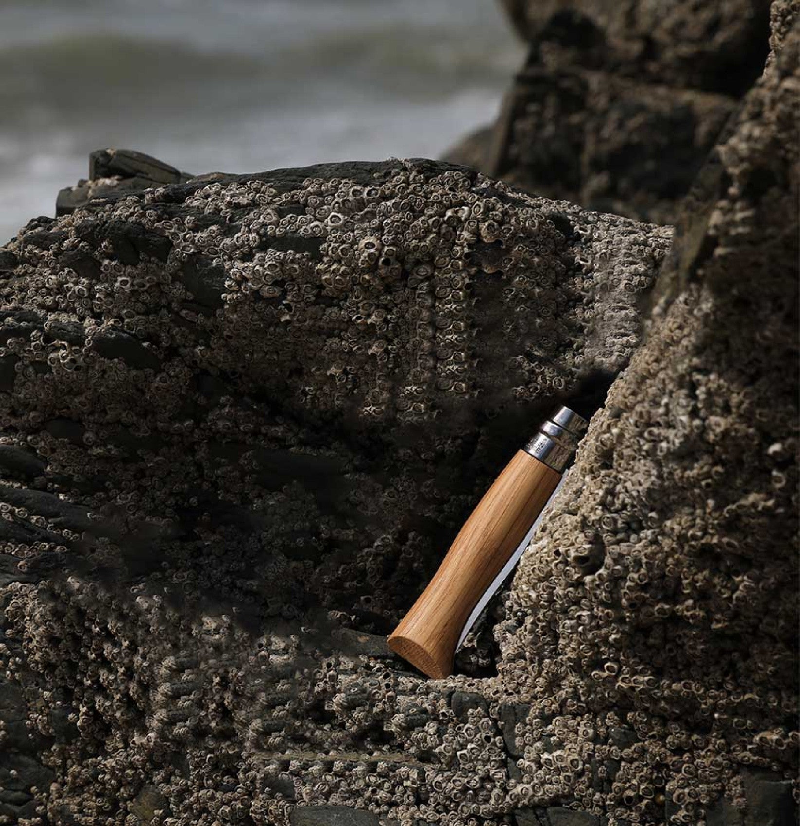 Zatvárací nôž Opinel Oak Wood N°06 7 cm, 002024