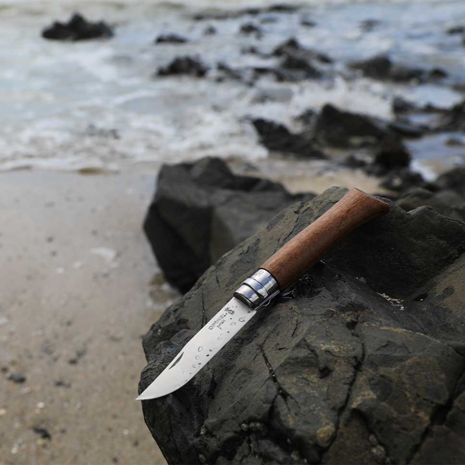 Opinel Walnut Wood N°06 zavírací nůž 7 cm, 002025