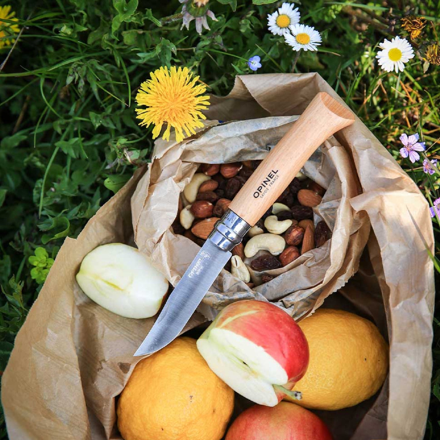 Zatvárací nôž Opinel Inox N°08 8,5 cm, 123080