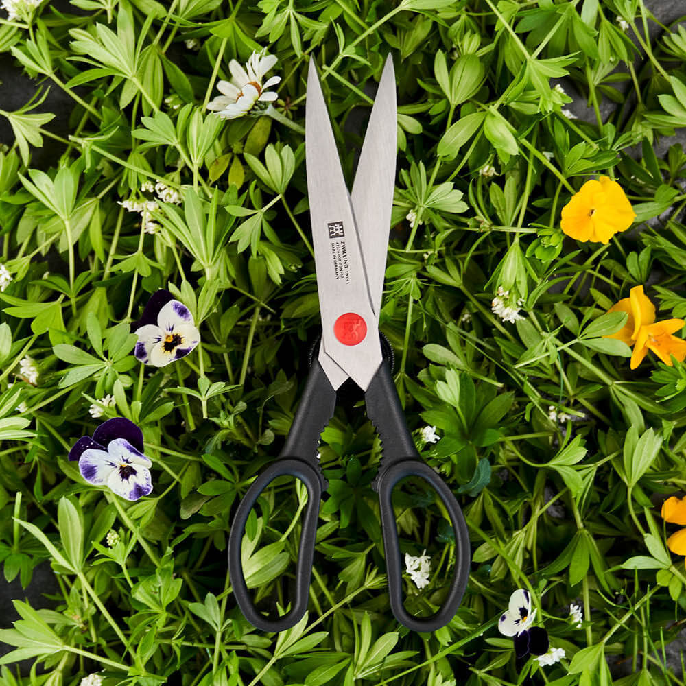 Viacúčelové nožnice Zwilling TWIN L, 23 cm