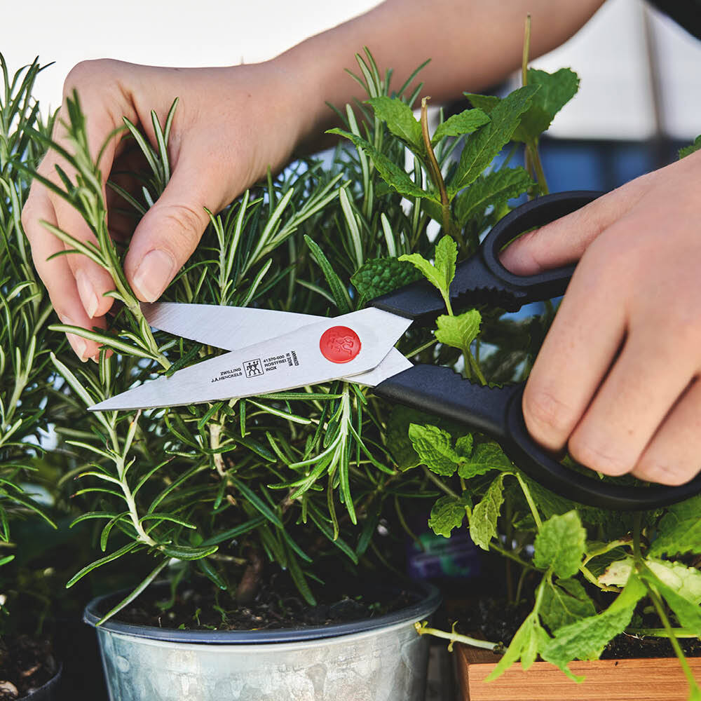 Zwilling TWIN L universal scissors 20 cm, black, 41370-001