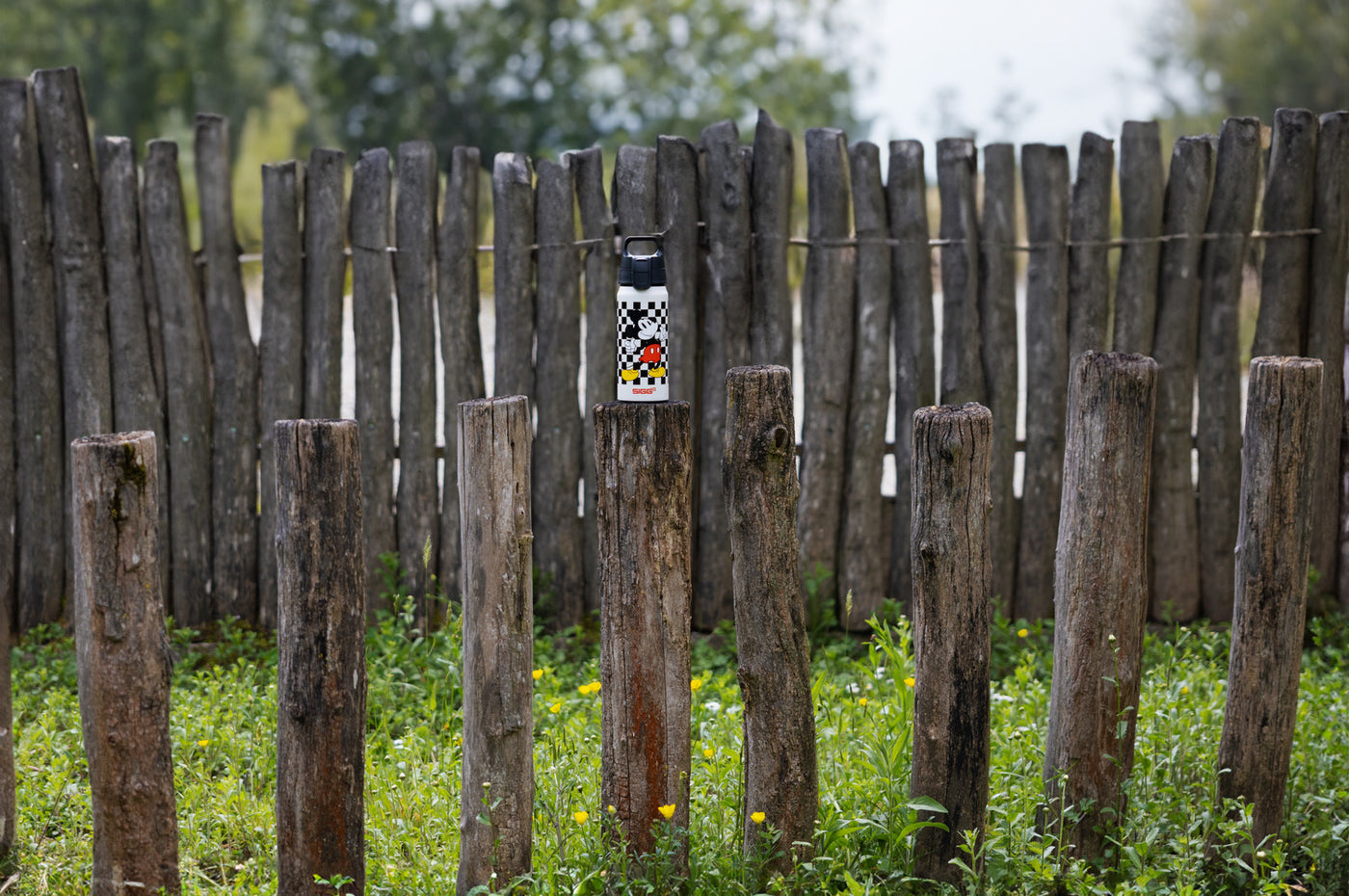 Sigg WMB One detská fľaša na pitie 600 ml, mickey retro, 6060.20