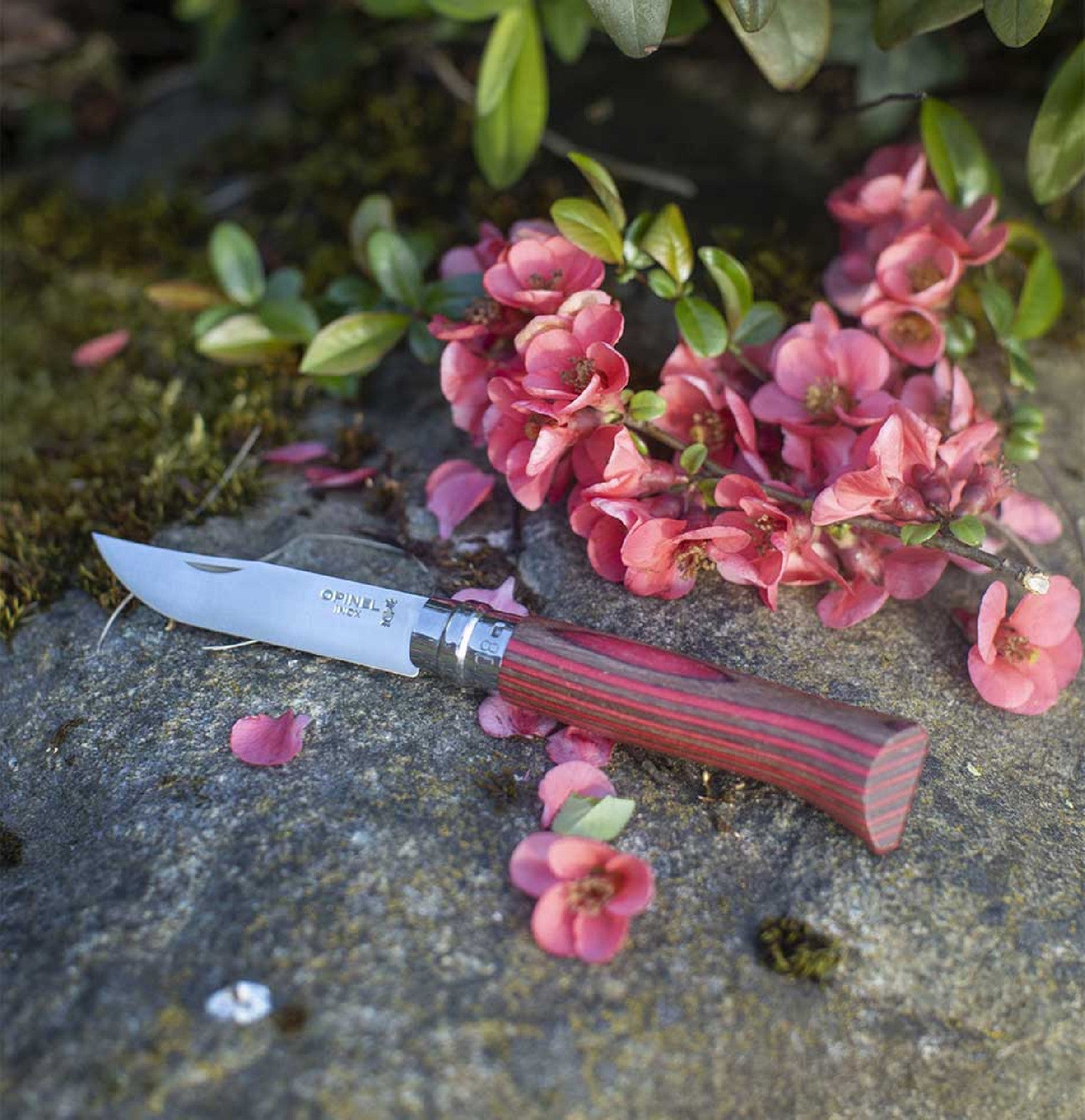 Opinel Laminovaná breza N°08 Fínska breza 8,5 cm, červená, 002390