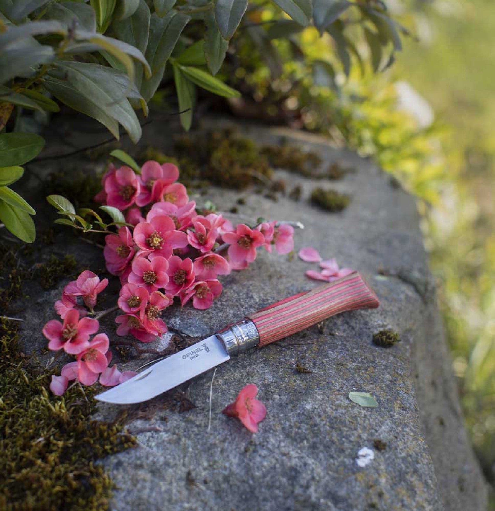 Opinel Laminovaná breza N°08 Fínska breza 8,5 cm, červená, 002390