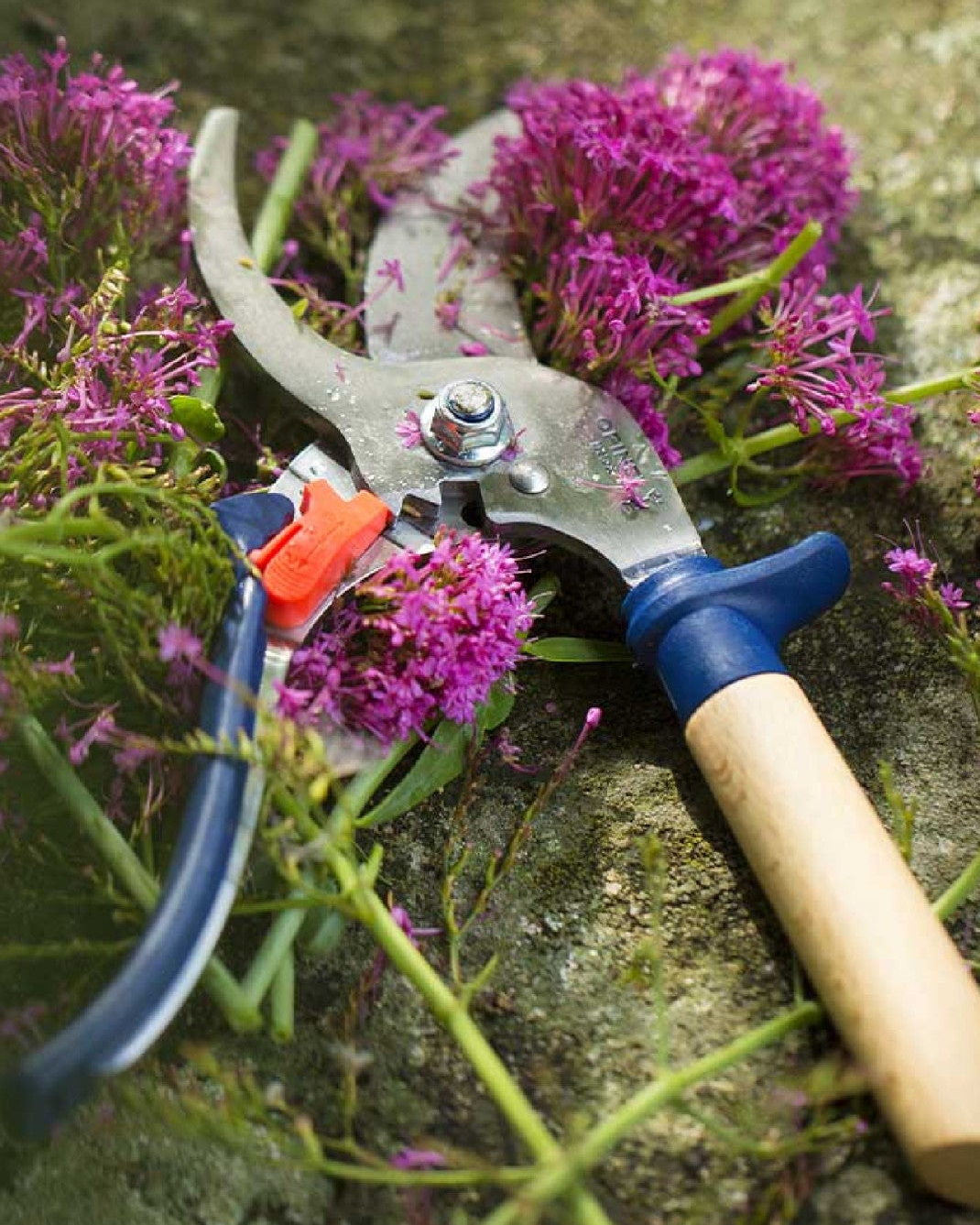 Zahradní náčiní Opinel