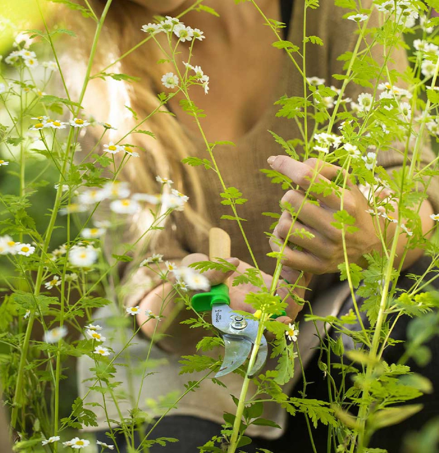 Záhradné nožnice Opinel, zelené, 001628