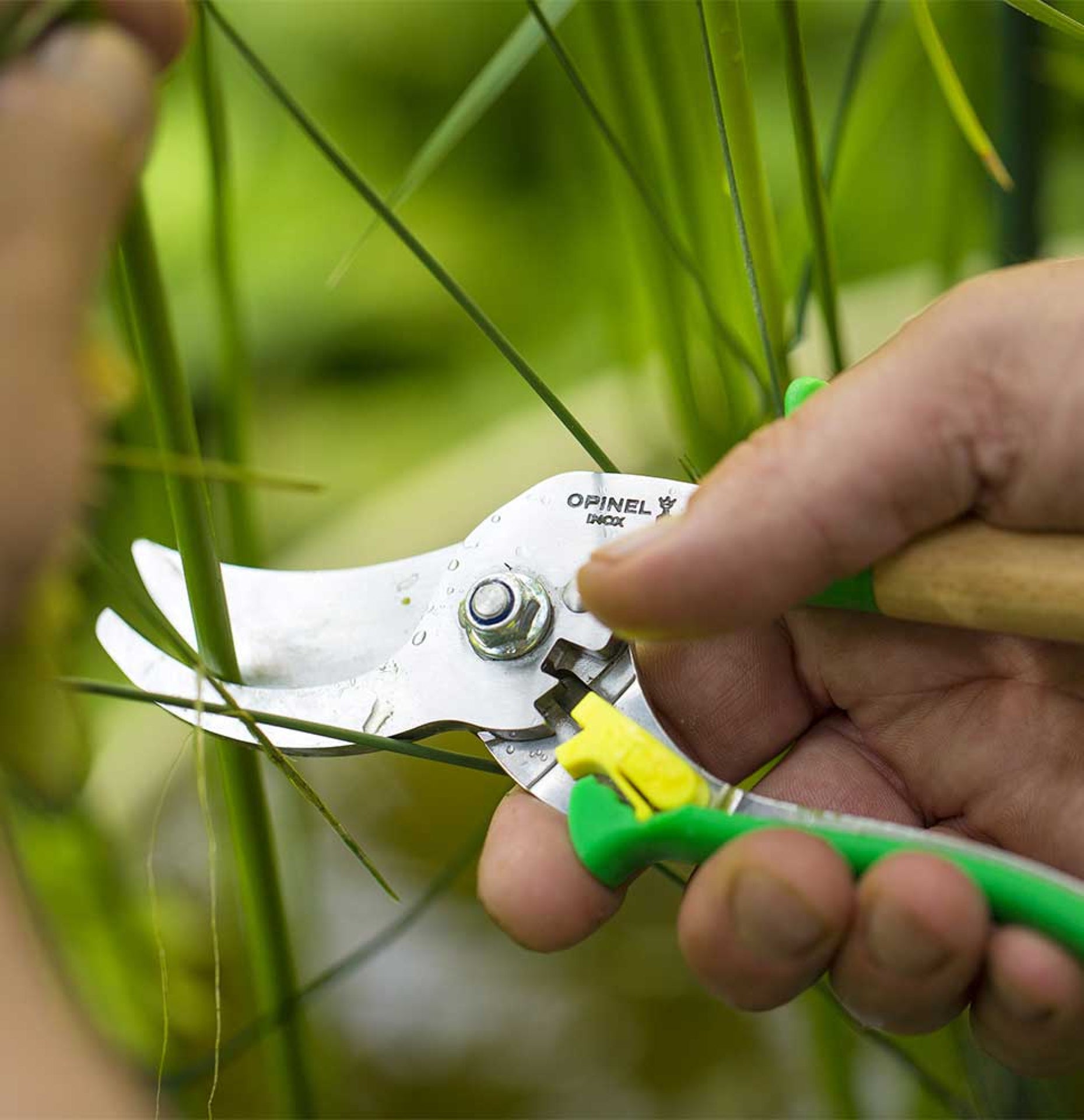 Záhradné nožnice Opinel, zelené, 001628