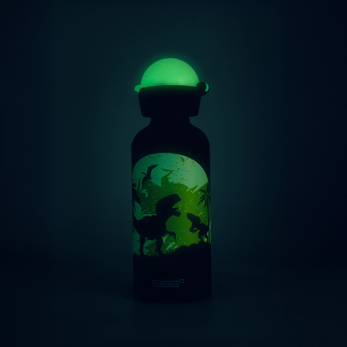 Sigg KBT dojčenská fľaša 400 ml, svietiaci mesiac dinos, 8543.00