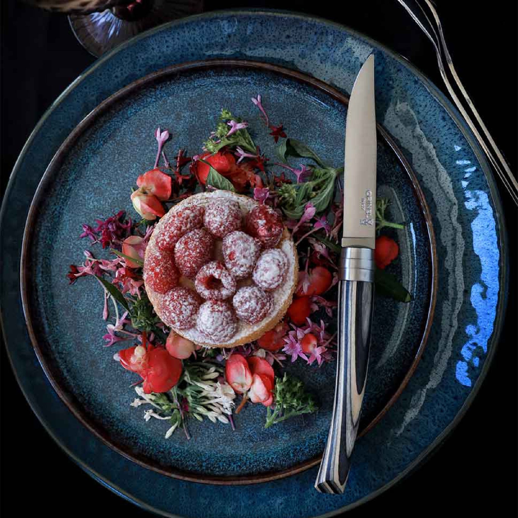 Opinel Table Chic sada steakových nožů, 4 ks, finská bříza, 002483