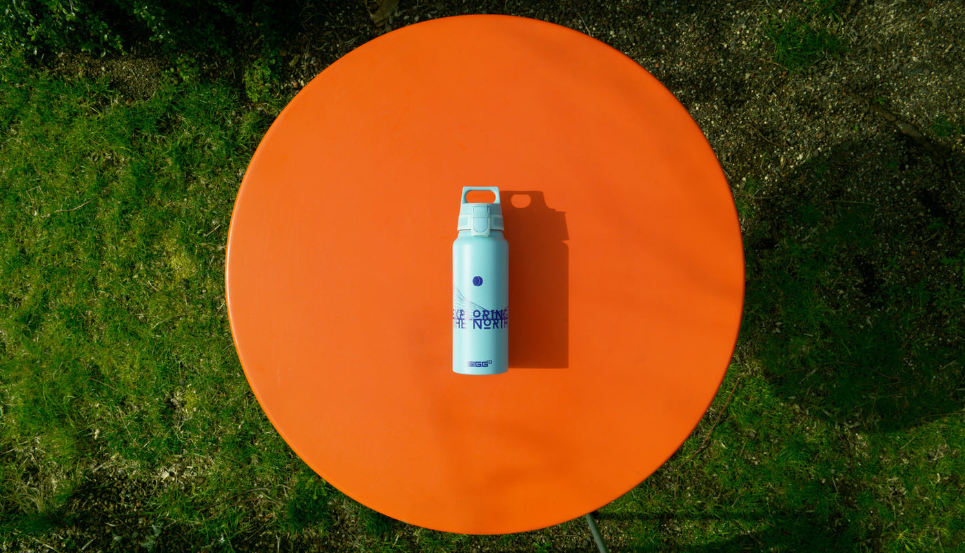Sigg WMB One fľaša na pitie 1 l, pathfinder glacier, 9025.90