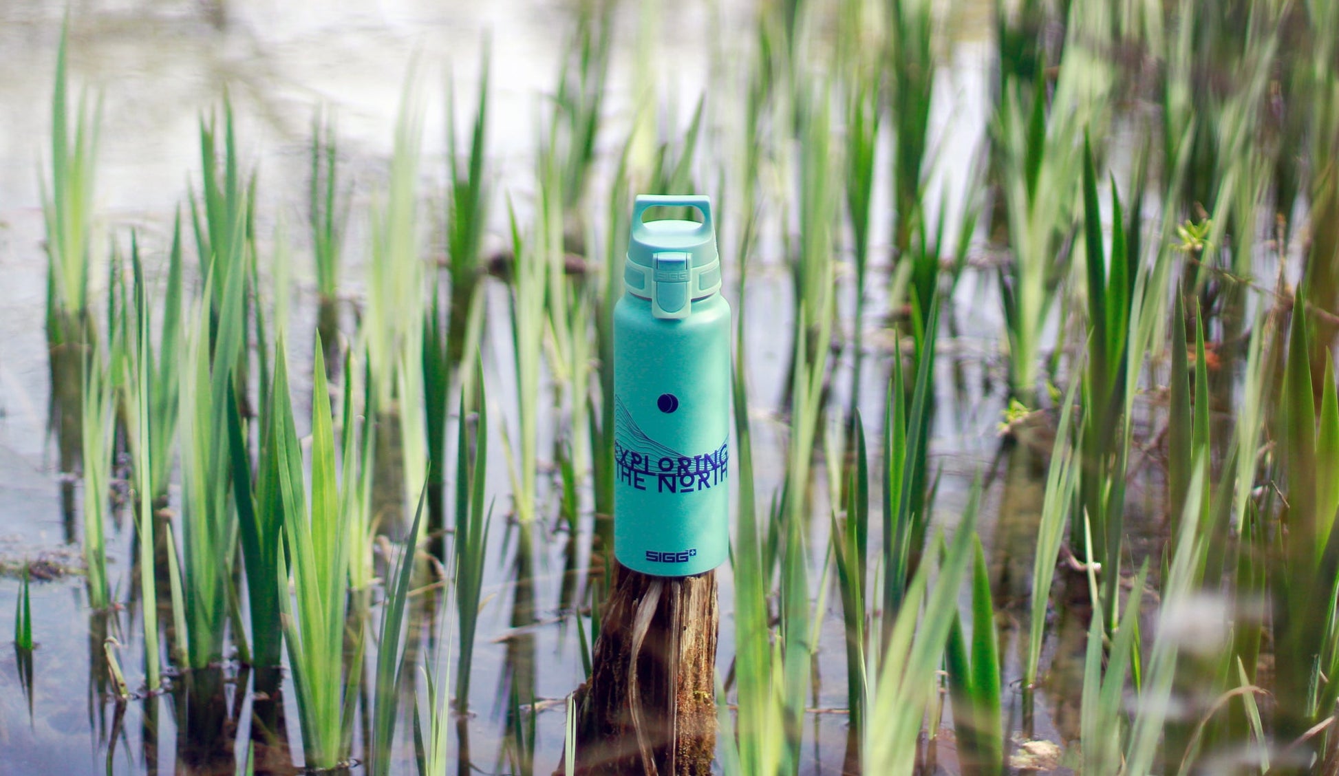 Sigg WMB One fľaša na pitie 1 l, pathfinder glacier, 9025.90