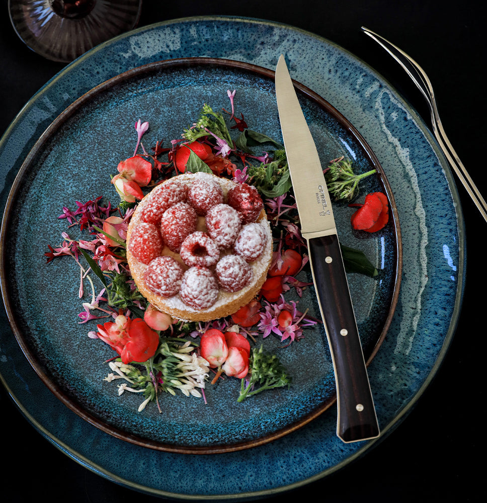 Opinel Facette sada 4 príborových nožov, tmavý popol, 002497