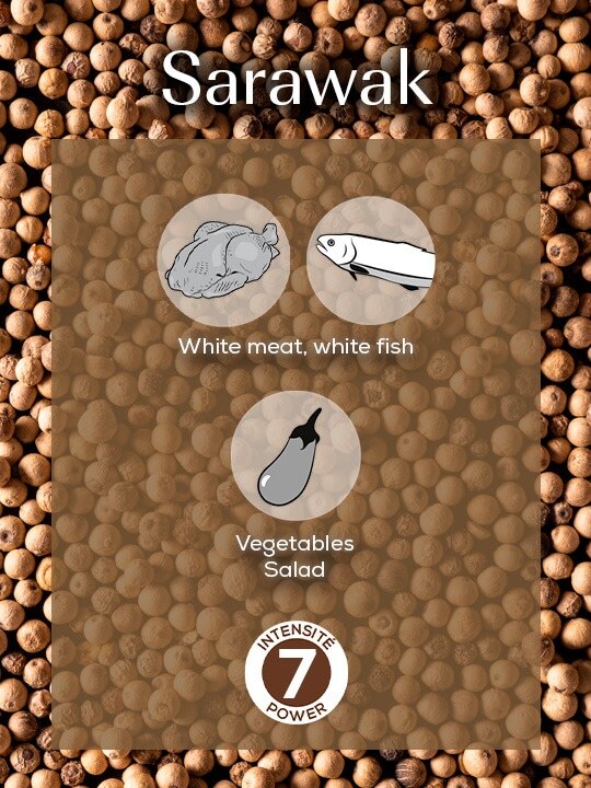 Peugeot Biele korenie Sarawak 4 x 20g, 42424