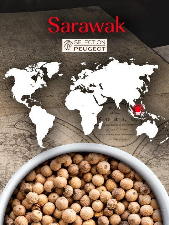 Peugeot Biele korenie Sarawak 4 x 20g, 42424