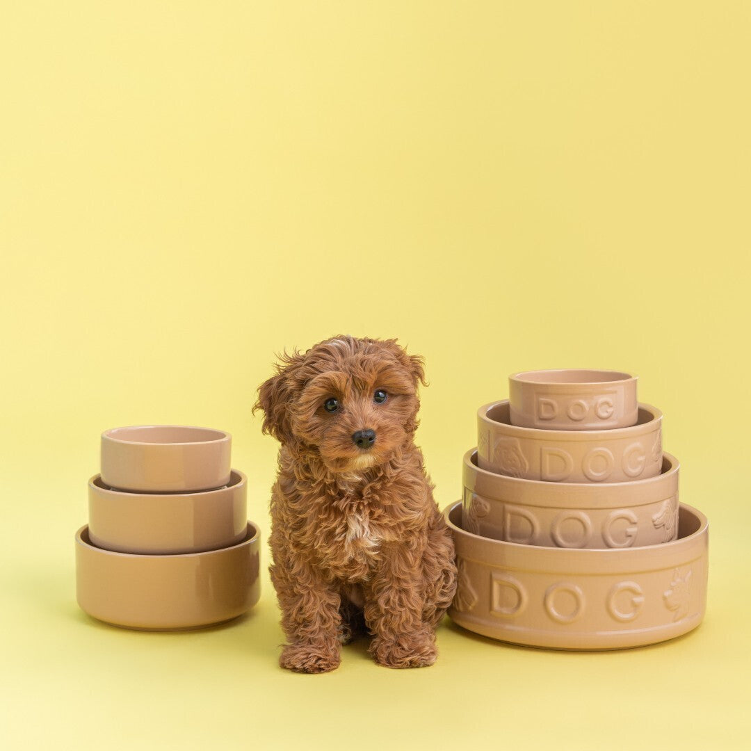 Mason Cash Cane Pet Bowl miska pre psov 18 x 7 cm, škorica, 2030.307