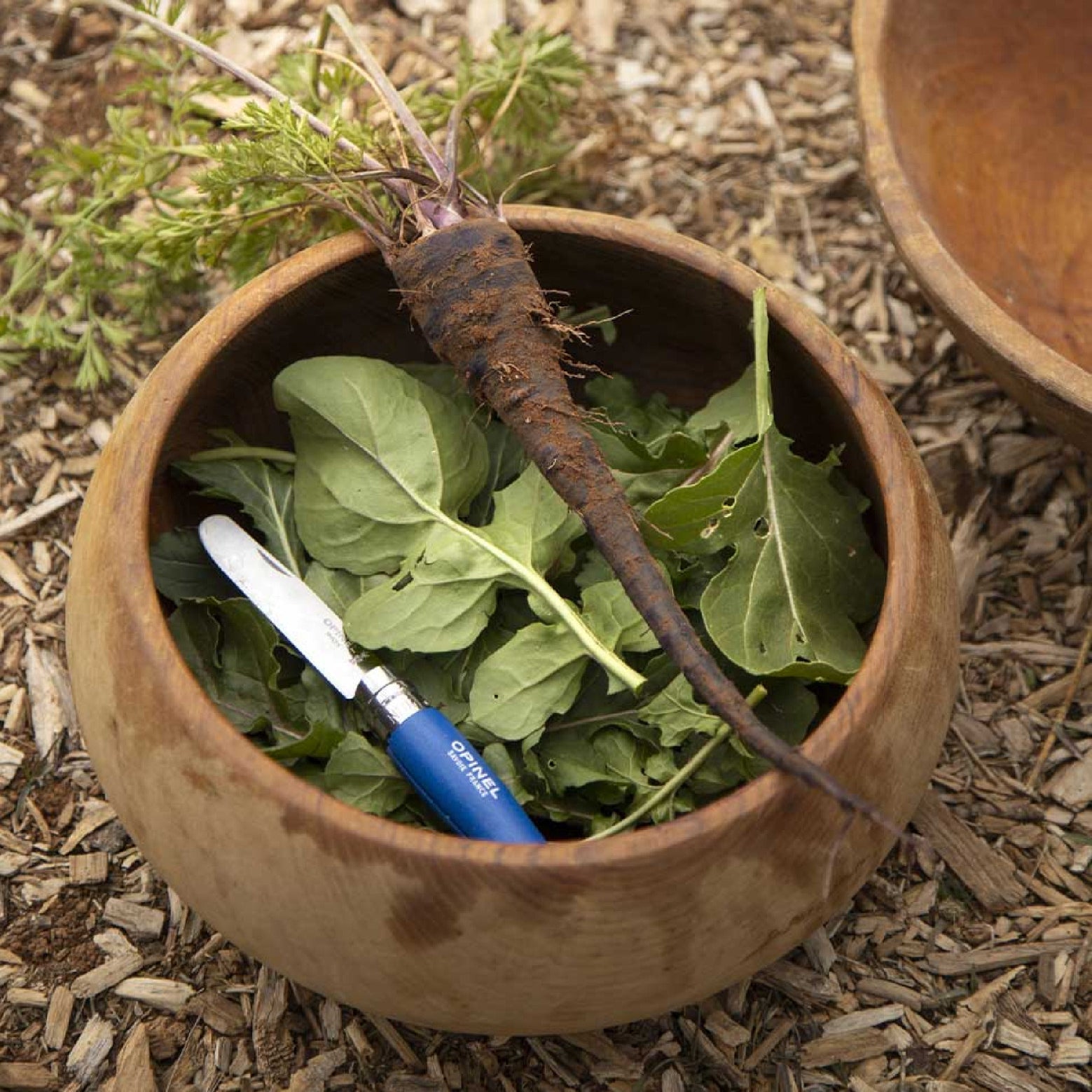 Opinel My First Opinel N°07 zatvárací nôž 8 cm, modrý, 002215