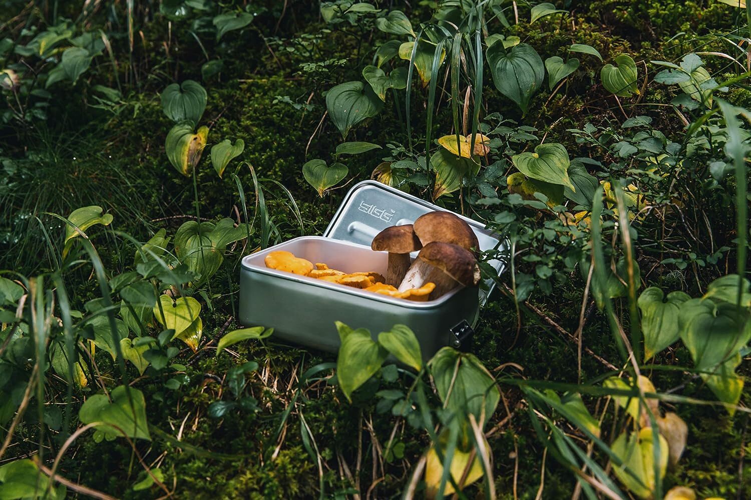 Sigg Metal Plus L jedálenský box 1,2 l, alu, 8698.00