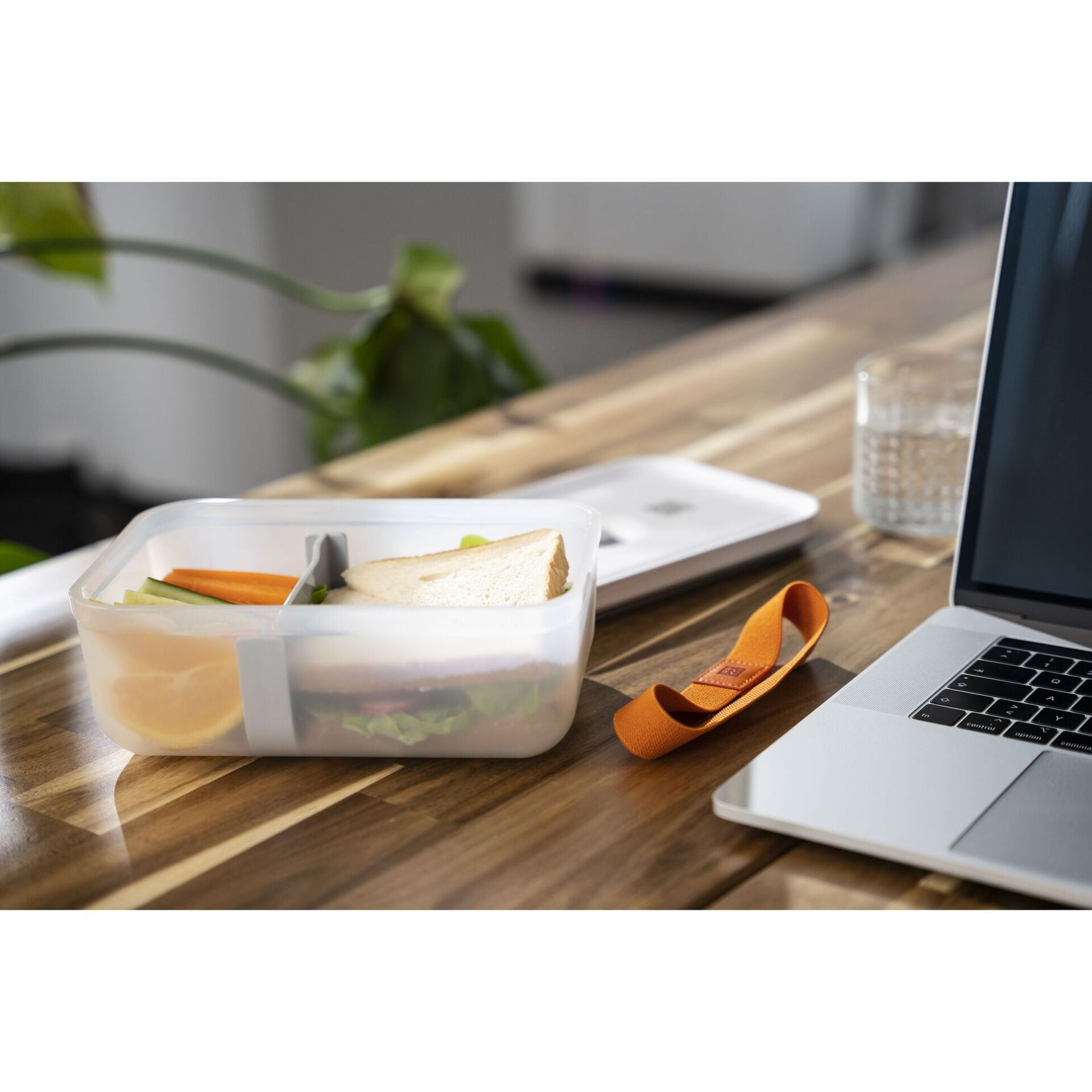 Zwilling Fresh & Save vakuovací box na oběd, plastový L 1,6 l, 36801-320