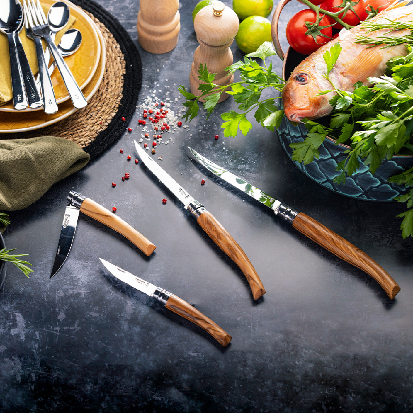 Zatvárací nôž Opinel Effilé Olive N°15 15 cm, 002608